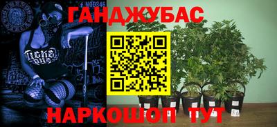 ECSTASY Берёзовский