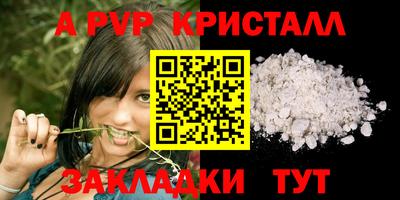 ECSTASY Берёзовский