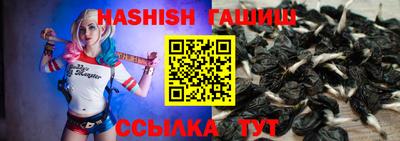 мяу мяу мука Беслан